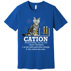 Cation Funny Chemistry Humor Science Teacher Cat Pun Gift Premium T-Shirt