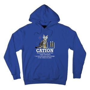 Cation Funny Chemistry Humor Science Teacher Cat Pun Gift Tall Hoodie