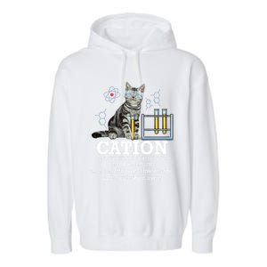 Cation Funny Chemistry Humor Science Teacher Cat Pun Gift Garment-Dyed Fleece Hoodie