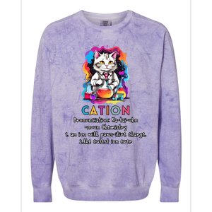 Cation Funny Chemistry Humor Science Teacher Cat Pun Gift Colorblast Crewneck Sweatshirt