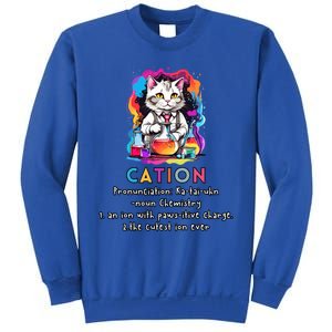 Cation Funny Chemistry Humor Science Teacher Cat Pun Gift Sweatshirt