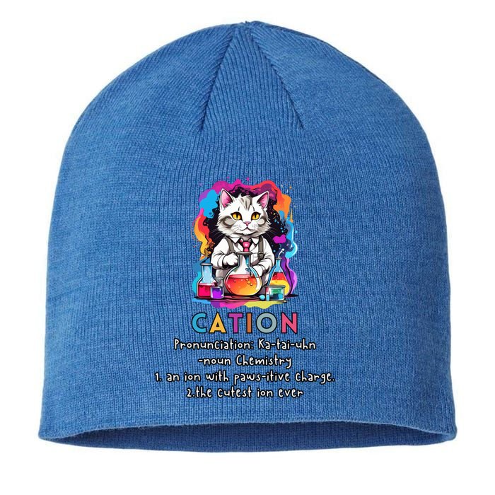 Cation Funny Chemistry Humor Science Teacher Cat Pun Gift Sustainable Beanie