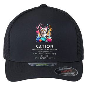 Cation Funny Chemistry Humor Science Teacher Cat Pun Meaningful Gift Flexfit Unipanel Trucker Cap