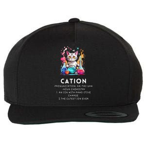 Cation Funny Chemistry Humor Science Teacher Cat Pun Meaningful Gift Wool Snapback Cap