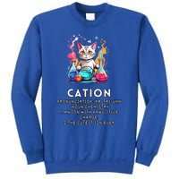 Cation Funny Chemistry Humor Science Teacher Cat Pun Meaningful Gift Sweatshirt