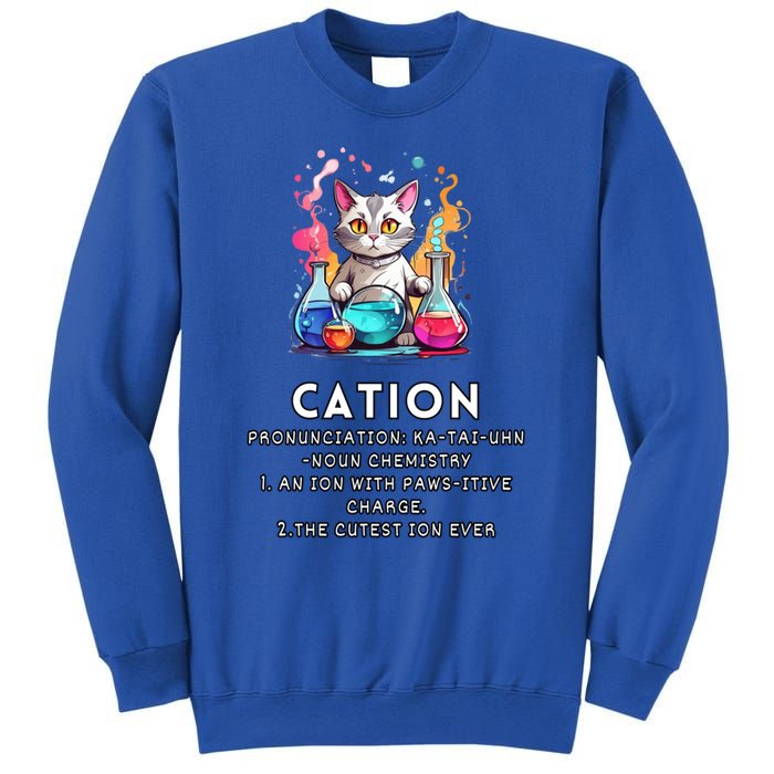 Cation Funny Chemistry Humor Science Teacher Cat Pun Meaningful Gift Sweatshirt