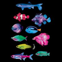 Colorful Fishes Toddler T-Shirt