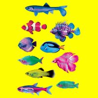 Colorful Fishes T-Shirt
