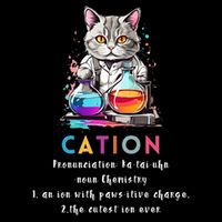 Cation Funny Chemistry Humor Science Teacher Cat Pun Gift Women's Crop Top Tee