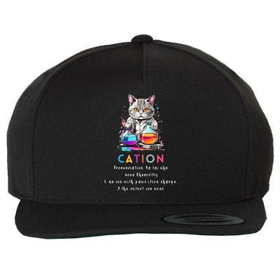 Cation Funny Chemistry Humor Science Teacher Cat Pun Gift Wool Snapback Cap
