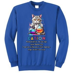 Cation Funny Chemistry Humor Science Teacher Cat Pun Gift Sweatshirt