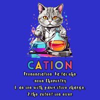 Cation Funny Chemistry Humor Science Teacher Cat Pun Gift 16 in Basic Backpack