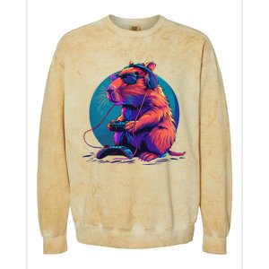 Capybara Funny Capybara Rodent & Video Games Lover Colorblast Crewneck Sweatshirt