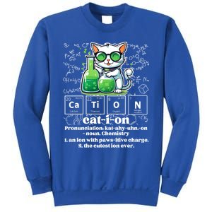 Cation Funny Chemistry Cat Humor Science Chemistry Teacher Gift Sweatshirt