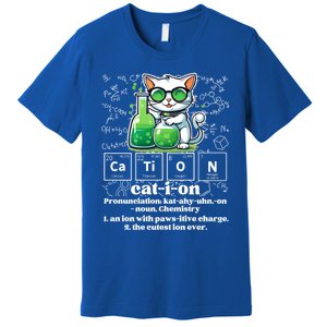 Cation Funny Chemistry Cat Humor Science Chemistry Teacher Gift Premium T-Shirt