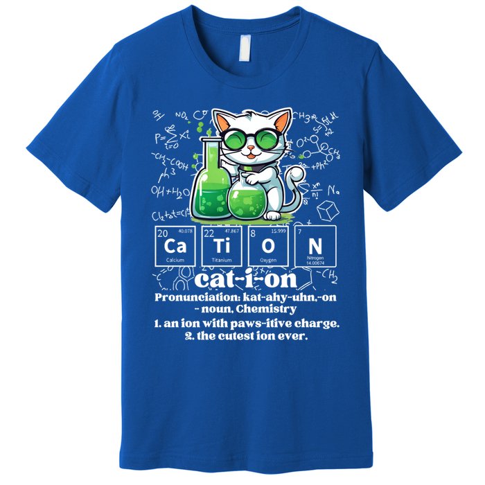 Cation Funny Chemistry Cat Humor Science Chemistry Teacher Gift Premium T-Shirt