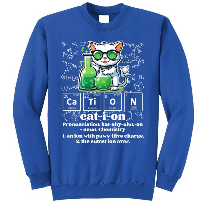 Cation Funny Chemistry Cat Humor Science Chemistry Teacher Gift Tall Sweatshirt