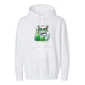 Cation Funny Chemistry Cat Humor Science Chemistry Teacher Gift Garment-Dyed Fleece Hoodie