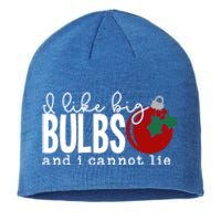 Cute Funny Christmas I Like Big Bulbs And I Cannot Lie Gift Sustainable Beanie