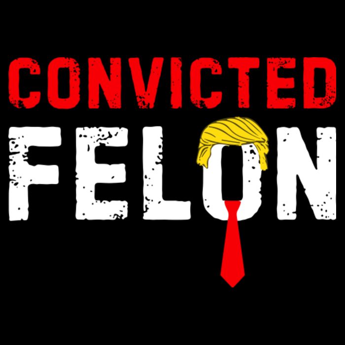 Convicted Felon Full-Length Apron With Pockets
