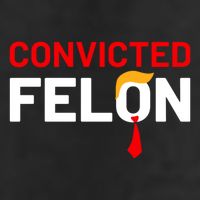 Convicted Felon Cool Comfort Performance Bucket Hat