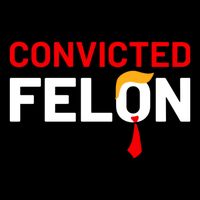 Convicted Felon 7-Panel Snapback Hat