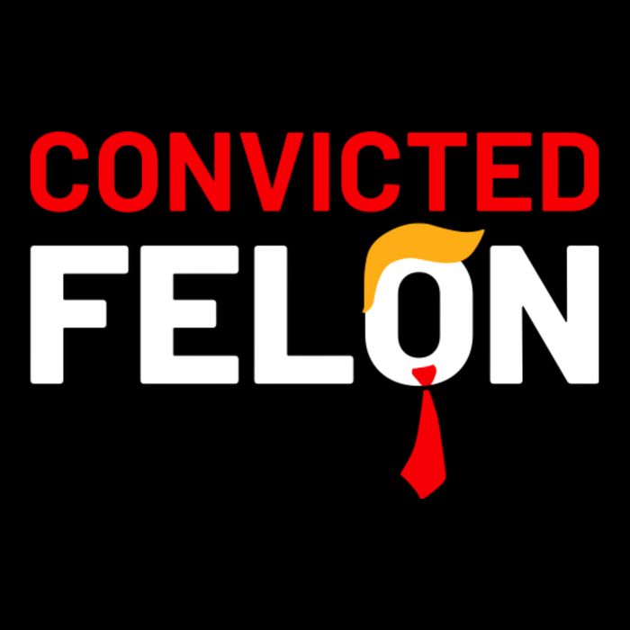 Convicted Felon 16 in Basic Backpack