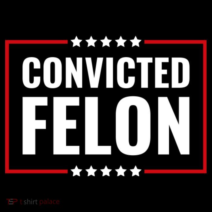 Convicted Felon Daily Commute Backpack