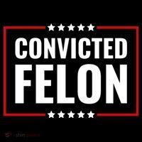 Convicted Felon 7-Panel Snapback Hat