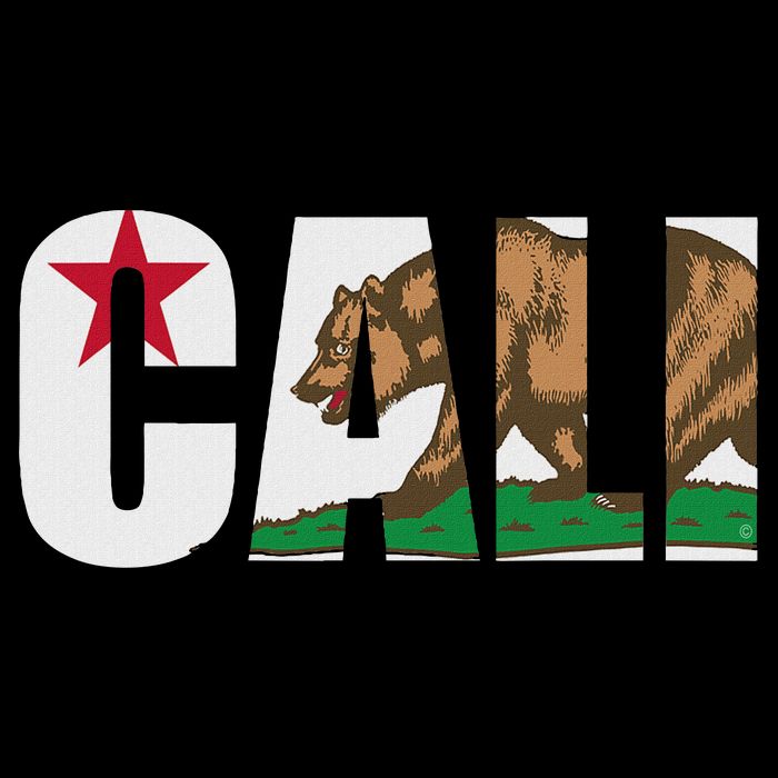 California Flag Cali Designs Home Love Family 16 in Basic Backpack