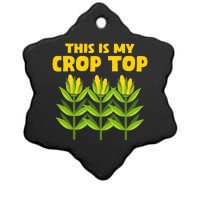 Crop Farming Corn Corn Cob Ceramic Star Ornament