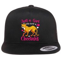 Cheetah Funny Cat Lover Just A Who Loves Cheetahs Flatbill Hat
