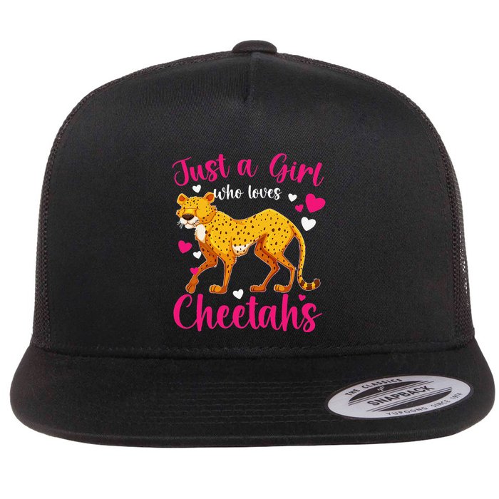 Cheetah Funny Cat Lover Just A Who Loves Cheetahs Flatbill Hat