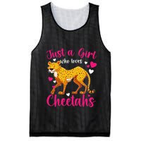 Cheetah Funny Cat Lover Just A Who Loves Cheetahs Mesh Reversible Basketball Jersey Tank