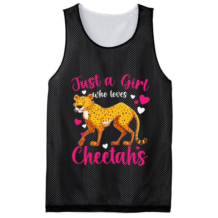 Cheetah Funny Cat Lover Just A Who Loves Cheetahs Mesh Reversible Basketball Jersey Tank