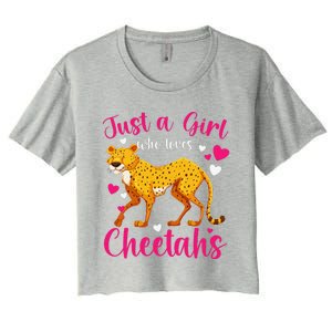 Cheetah Funny Cat Lover Just A Who Loves Cheetahs Women's Crop Top Tee