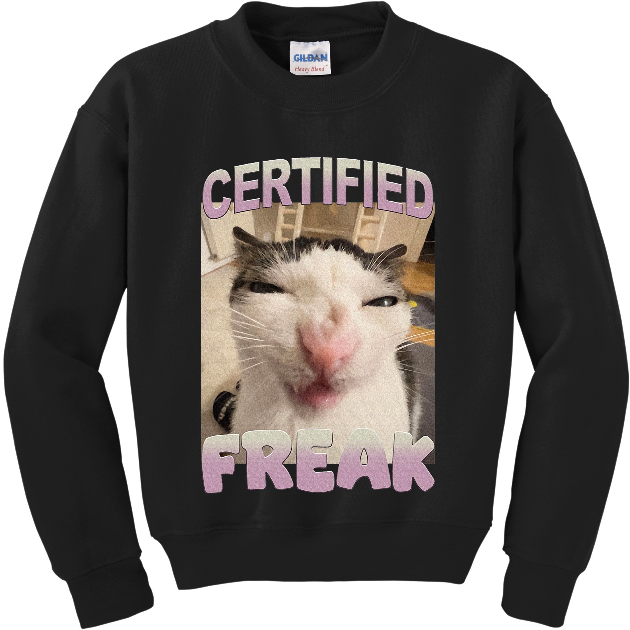 Certified Freak Cat Meme Funny Pet Humor Kids Sweatshirt