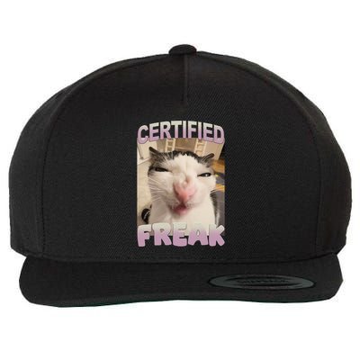 Certified Freak Cat Meme Funny Pet Humor Wool Snapback Cap