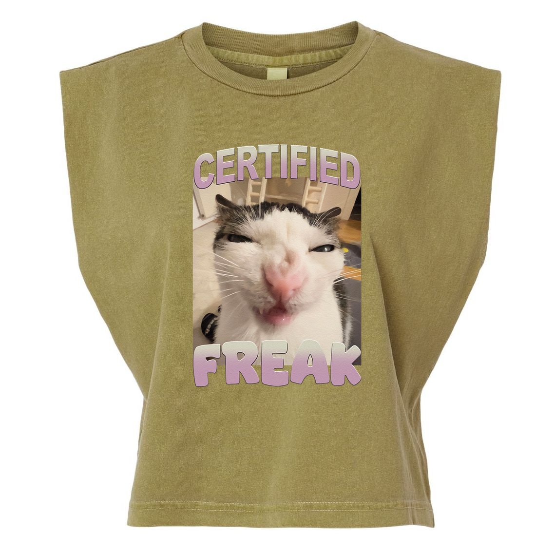 Certified Freak Cat Meme Funny Pet Humor Garment-Dyed Women's Muscle Tee