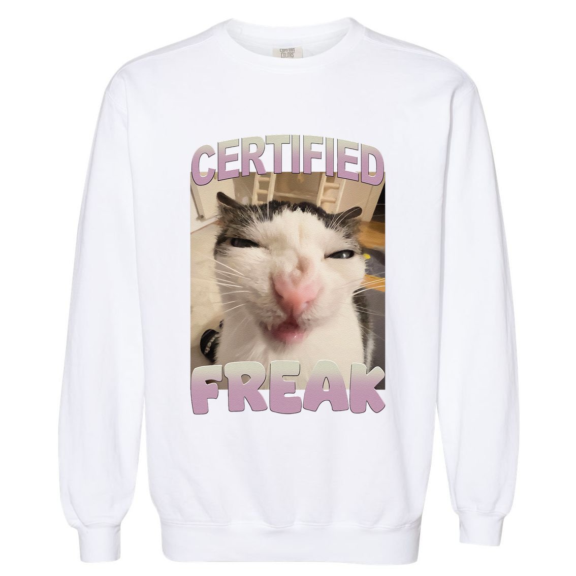 Certified Freak Cat Meme Funny Pet Humor Garment-Dyed Sweatshirt
