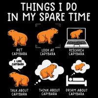 Capybaras Funny Capibara Rodent Things I Do In My Spare Time  Performance Shirt