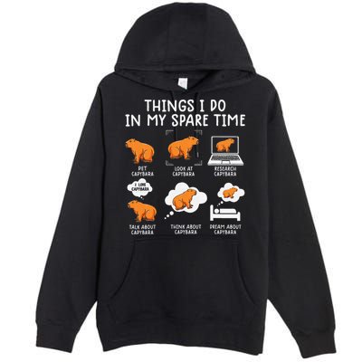 Capybaras Funny Capibara Rodent Things I Do In My Spare Time  Premium Pullover Hoodie