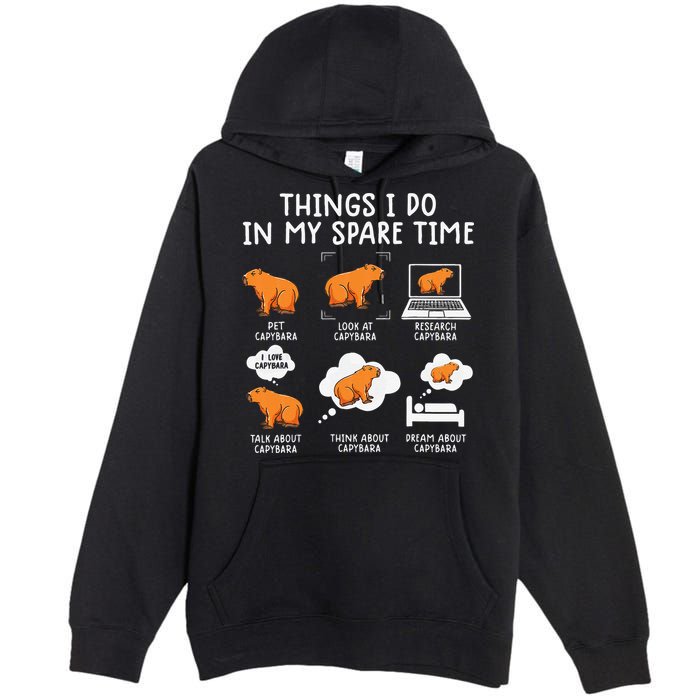 Capybaras Funny Capibara Rodent Things I Do In My Spare Time  Premium Pullover Hoodie