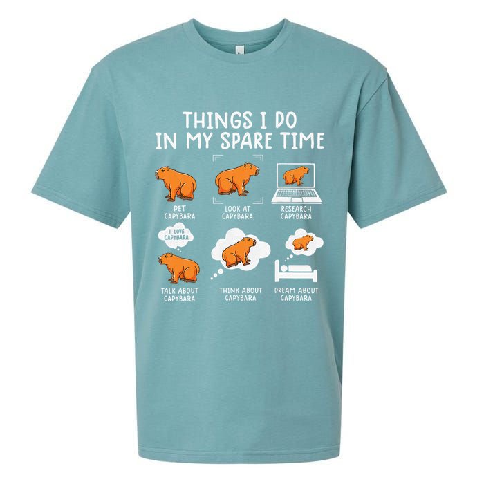 Capybaras Funny Capibara Rodent Things I Do In My Spare Time  Sueded Cloud Jersey T-Shirt