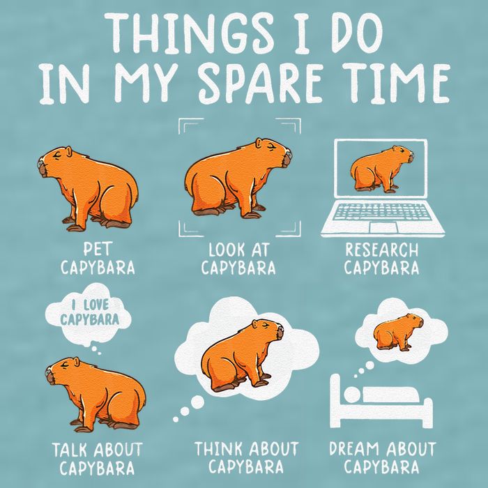 Capybaras Funny Capibara Rodent Things I Do In My Spare Time  Sueded Cloud Jersey T-Shirt