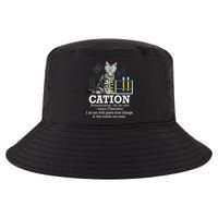 Cation Funny Chemistry Humor Science Teacher Cat Pun Cool Comfort Performance Bucket Hat