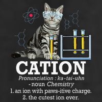 Cation Funny Chemistry Humor Science Teacher Cat Pun Cool Comfort Performance Bucket Hat