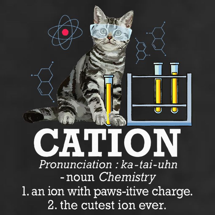Cation Funny Chemistry Humor Science Teacher Cat Pun Cool Comfort Performance Bucket Hat