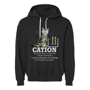 Cation Funny Chemistry Humor Science Teacher Cat Pun Garment-Dyed Fleece Hoodie