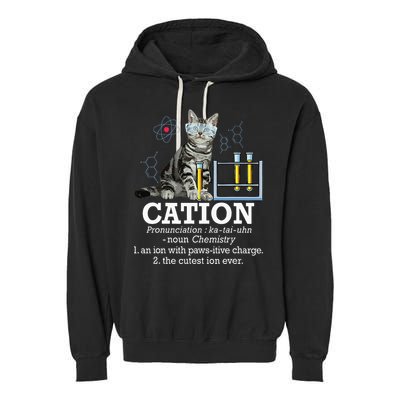 Cation Funny Chemistry Humor Science Teacher Cat Pun Garment-Dyed Fleece Hoodie